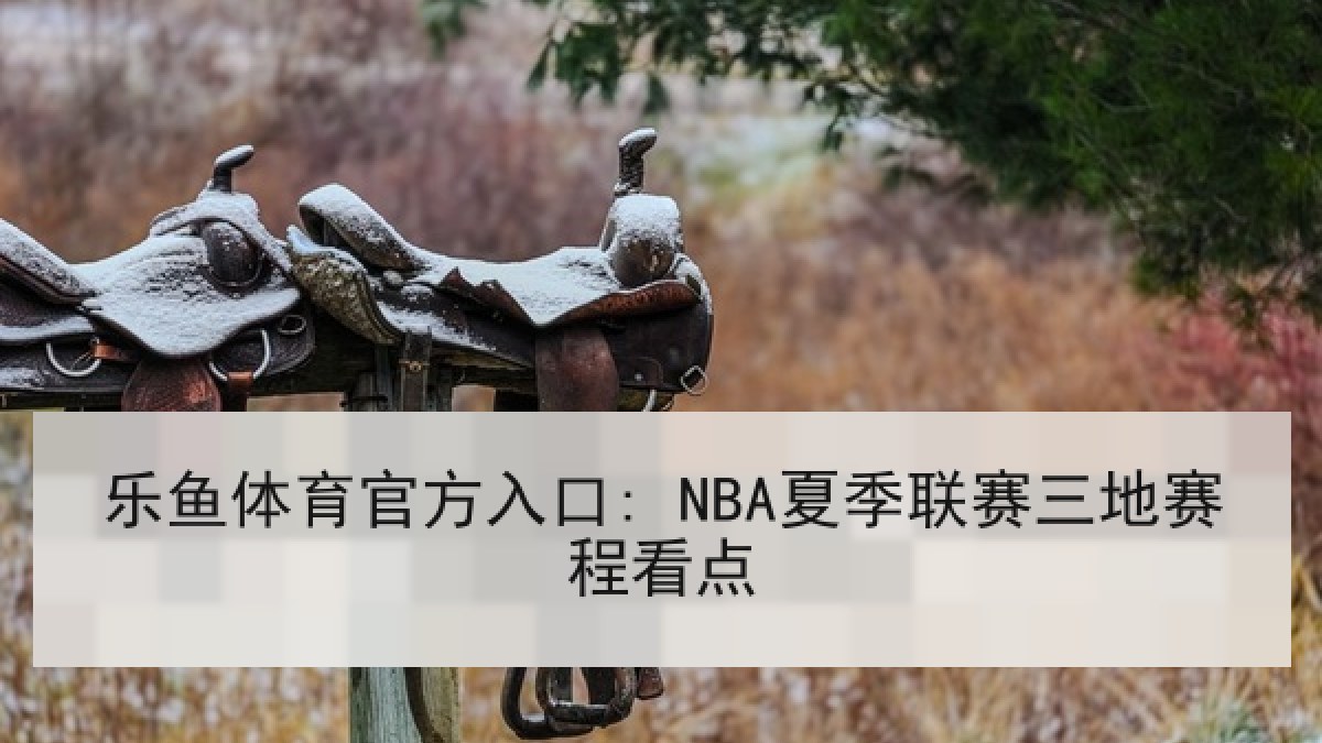 乐鱼体育官方入口: NBA夏季联赛三地赛程看点 乐鱼体育官方入口: NBA夏季联赛三地赛程看点